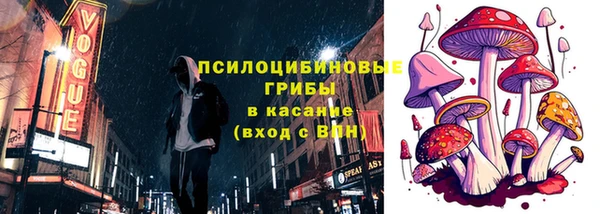 индика Алексеевка