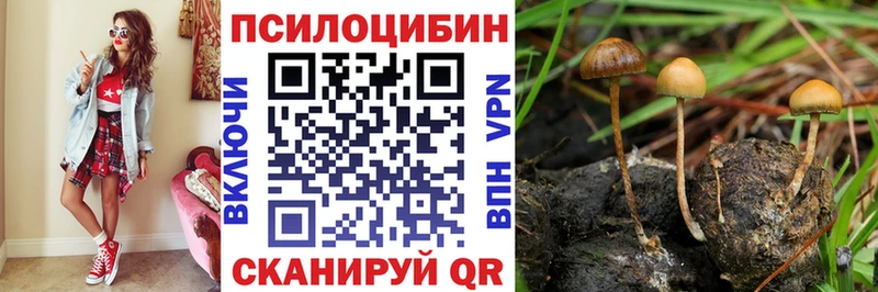 Галлюциногенные грибы Cubensis  Заполярный 