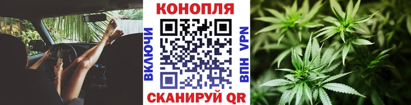 Марихуана ГИДРОПОН  Заполярный 